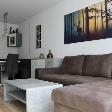 Daire App 3307 - Schluchseestube -mit Indoorpool- Privater Infrarotkabine-schluchsee Schluchsee