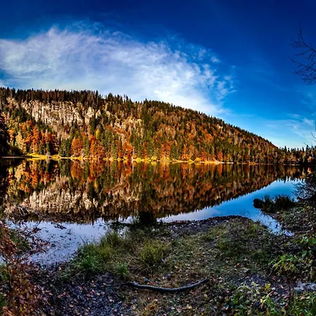 App 3307 - Schluchseestube -mit Indoorpool- Privater Infrarotkabine-schluchsee Daire