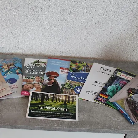 App 3307 - Schluchseestube -mit Indoorpool- Privater Infrarotkabine-schluchsee Daire Schluchsee