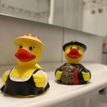 App 3307 - Schluchseestube -mit Indoorpool- Privater Infrarotkabine-schluchsee 4* Schluchsee