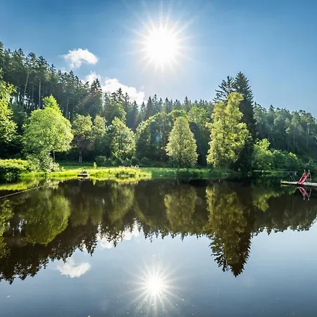 Daire App 3307 - Schluchseestube -mit Indoorpool- Privater Infrarotkabine-schluchsee Schluchsee