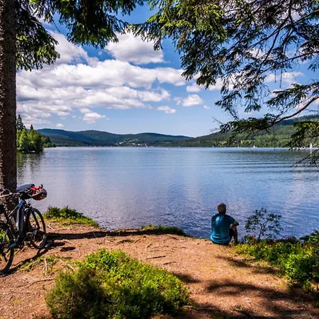 Daire App 3307 - Schluchseestube -mit Indoorpool- Privater Infrarotkabine-schluchsee 4*