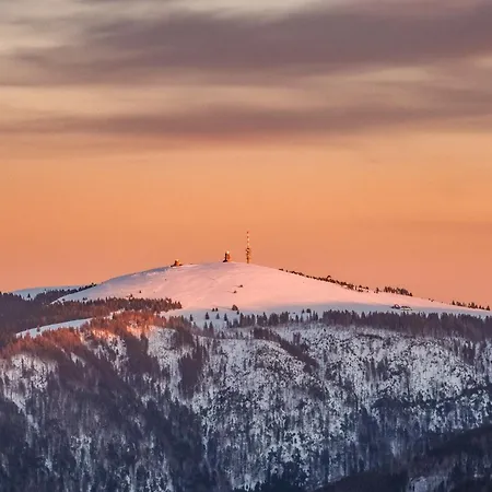 Daire App 3307 - Schluchseestube -mit Indoorpool- Privater Infrarotkabine-schluchsee