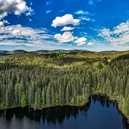 App 3307 - Schluchseestube -mit Indoorpool- Privater Infrarotkabine-schluchsee Daire 4*