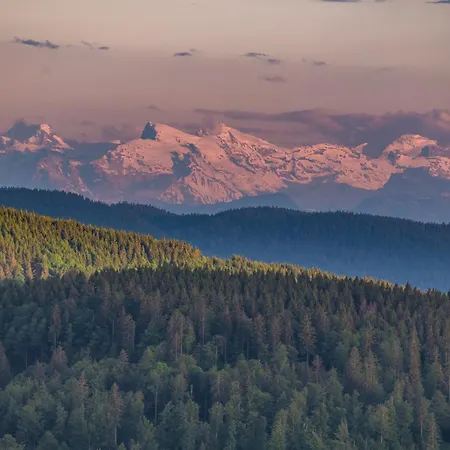 App 3307 - Schluchseestube -mit Indoorpool- Privater Infrarotkabine-schluchsee Daire Schluchsee