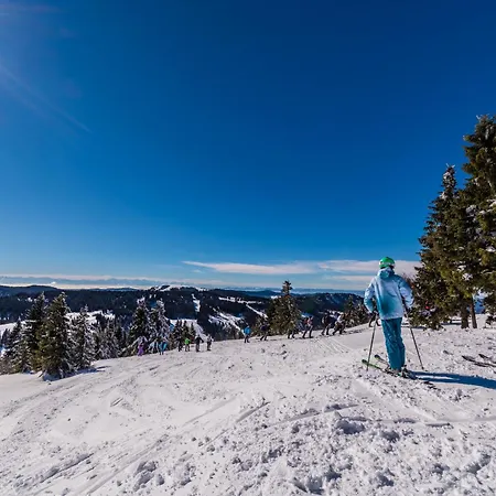 Daire App 3307 - Schluchseestube -mit Indoorpool- Privater Infrarotkabine-schluchsee Schluchsee